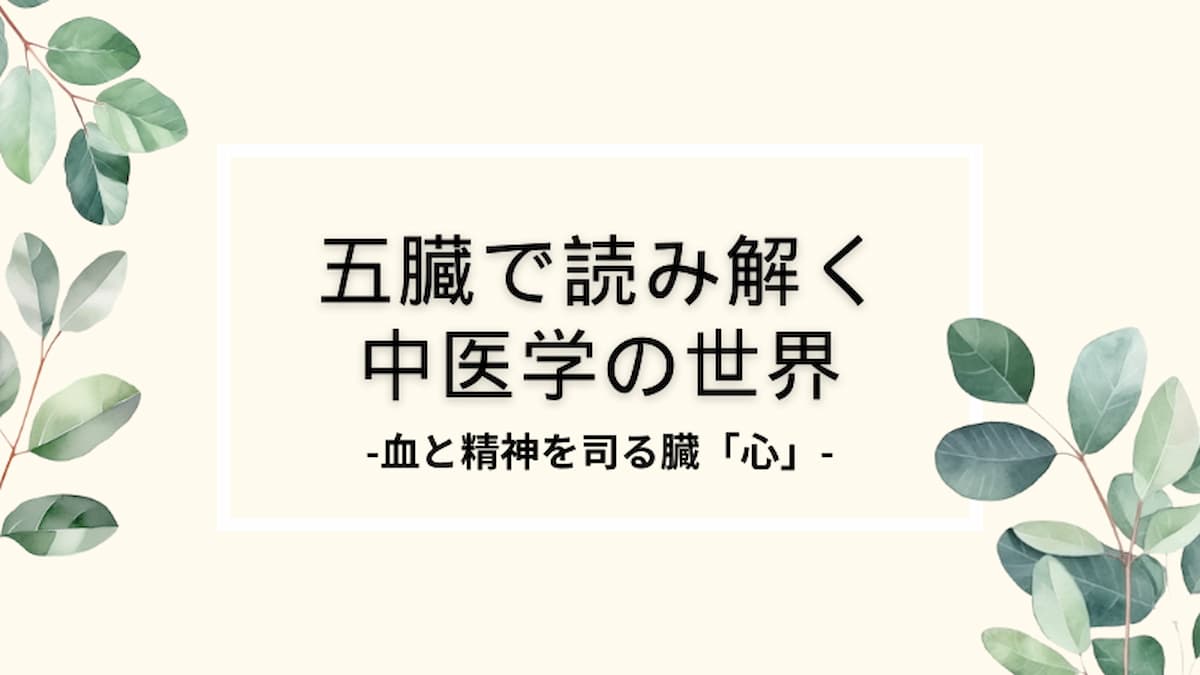 五臓「心」
