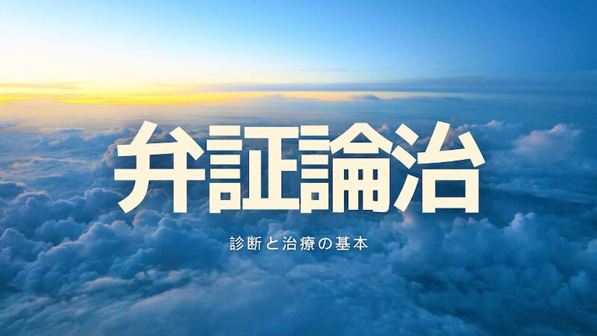 弁証論治