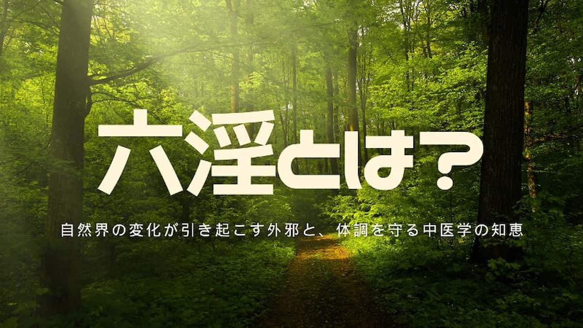 六淫とは