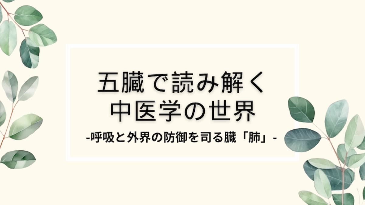 五臓「肺」