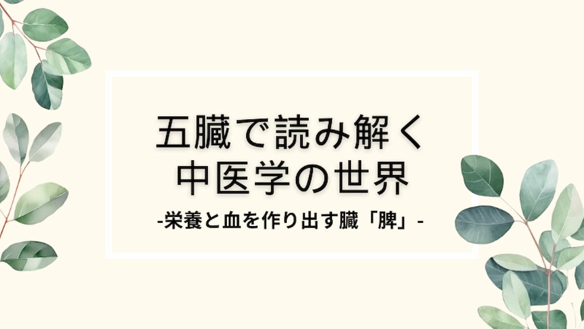 五臓「脾」