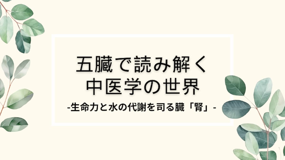 五臓「腎」