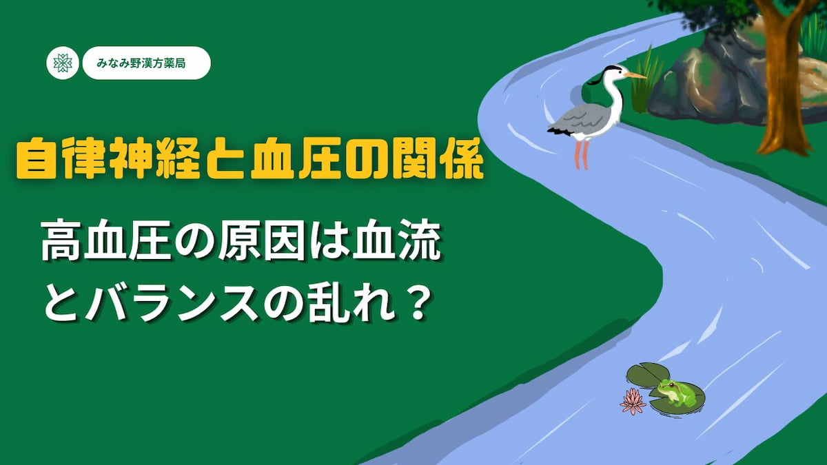 血圧と自律神経の関係